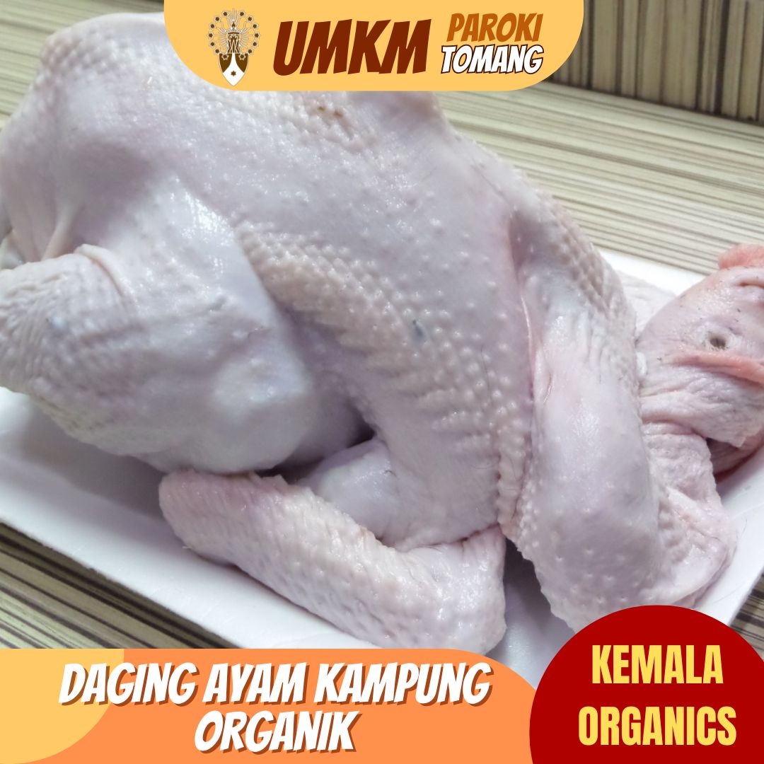 https://umkm.parokitomang.or.id//assets/images/product/Fillet daging ayam kampung organik